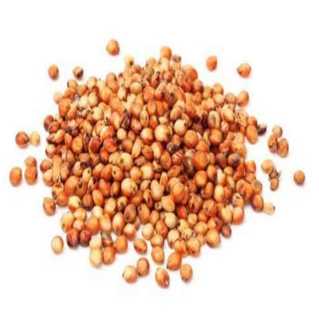 Wholesale Seeds Of Grain Sorghum Bulk Red and White Sorghum