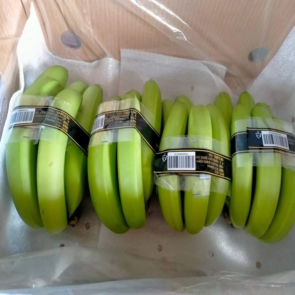 Green Banana Cheap Wholesale Cavendish Top Selling Vietnam Fresh Bananas Premium Fresh Fruits