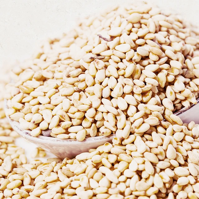 Top Selling Sesame Seed, Natural Sesame White Organic Seeds in wholesale price Bulk quantity available for Export