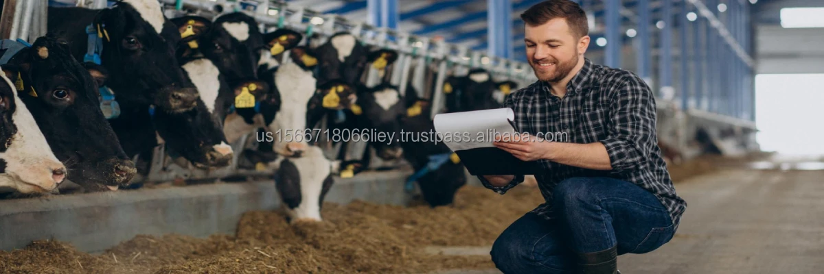 Animal Feeds Wholesale .jpeg