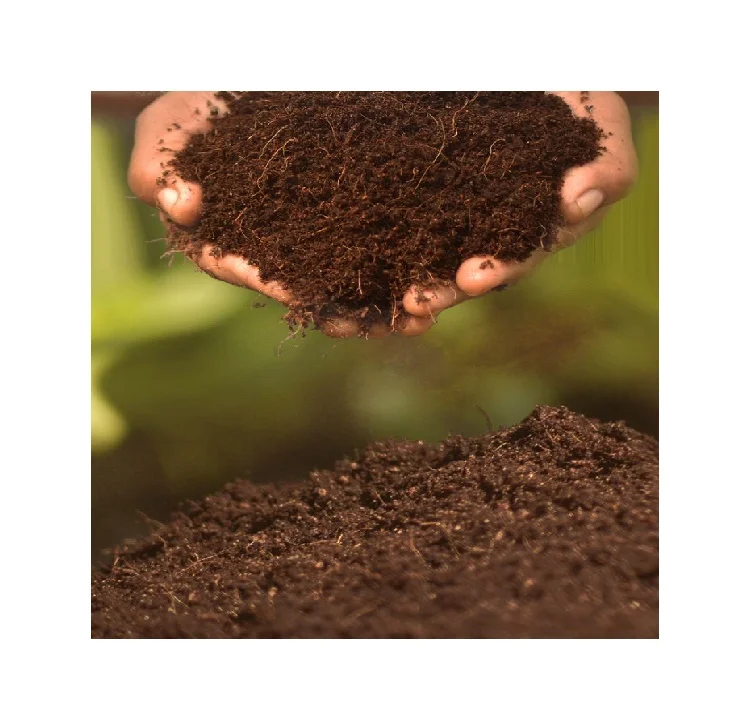 Cheap Cocopeat for Sale Premium Cocopeat for Gardening Planting and Landscaping Available at Discount Prices