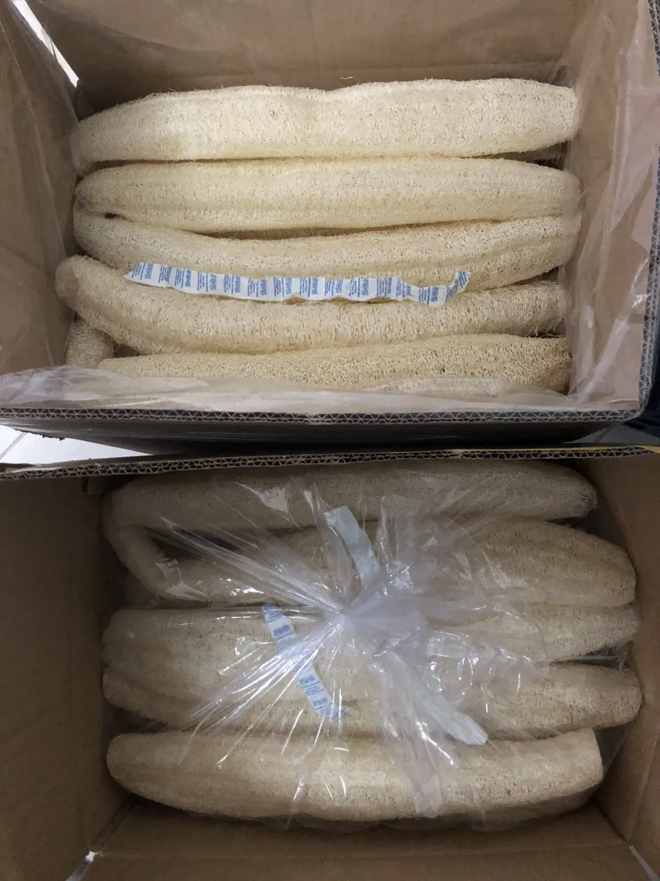 High-Quality Loofah Dish Sponges for body 15- 20cm- 100% Natural Organic- Dried Luffa Scrub Sponge/Compressed Loofah
