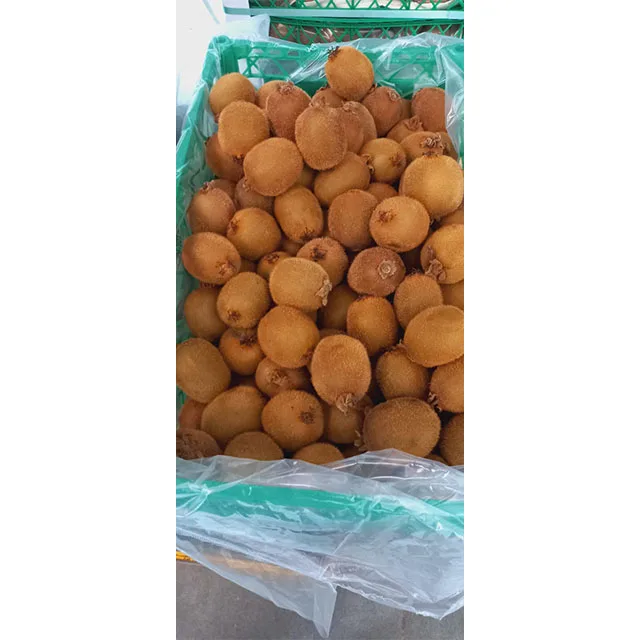Top Sale Sweet Kiwi Fruit Peeled Frozen Kiwi IQF Export Factory Price Wholesale Egypt Kiwi Fruit Premium Grade
