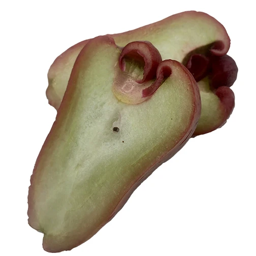 Высокое Качество Импортные цвета розы яблоко температура измеритель качество выбор свежие розы яблоко