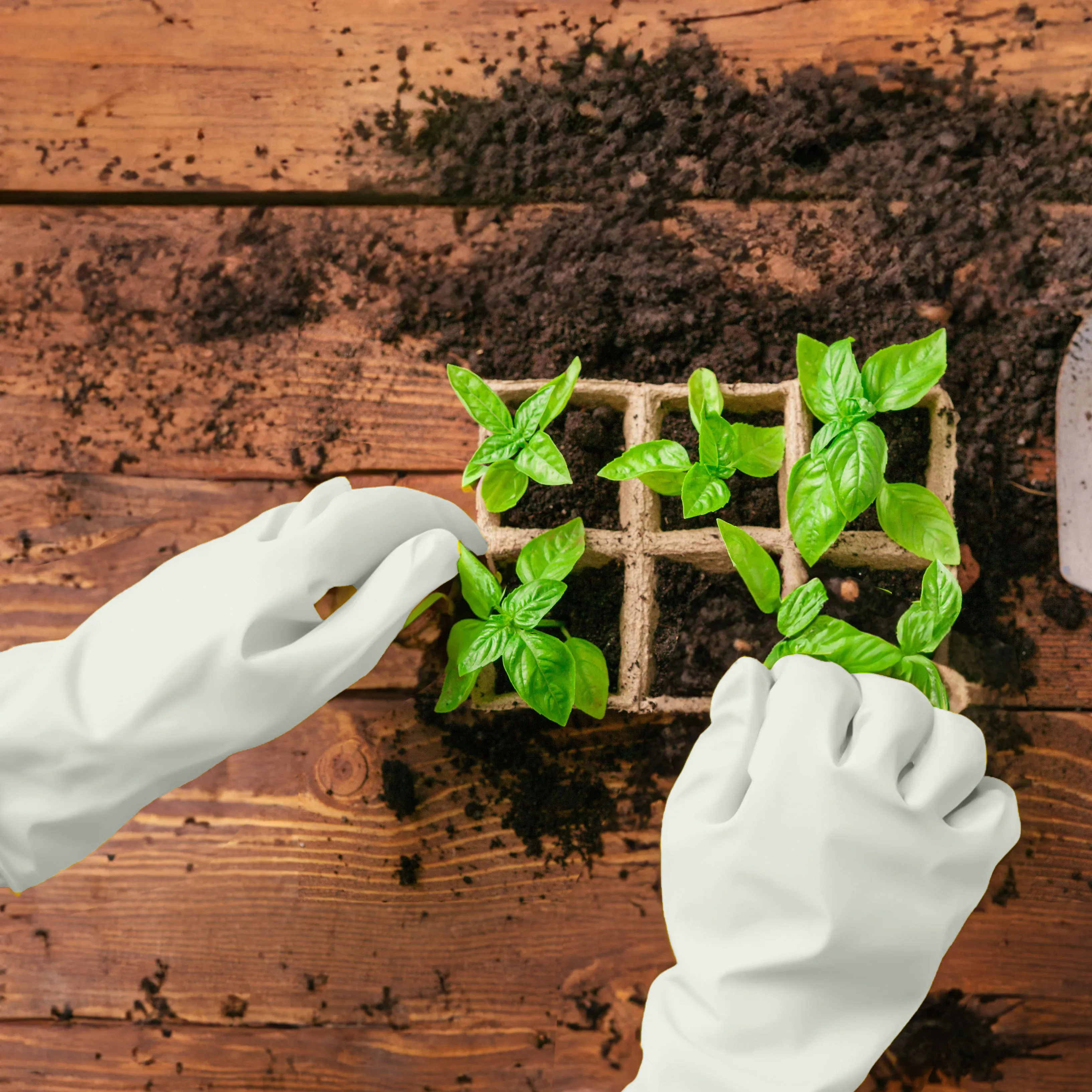 Латексные белые резиновые перчатки для мытья посуды