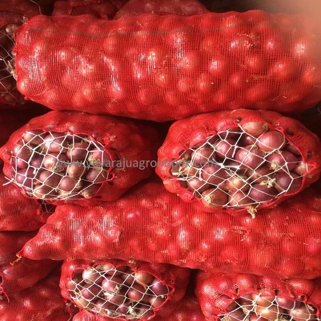 Beauty layer structure yellow shade big onion different flavor and texture of white red yellow big onion