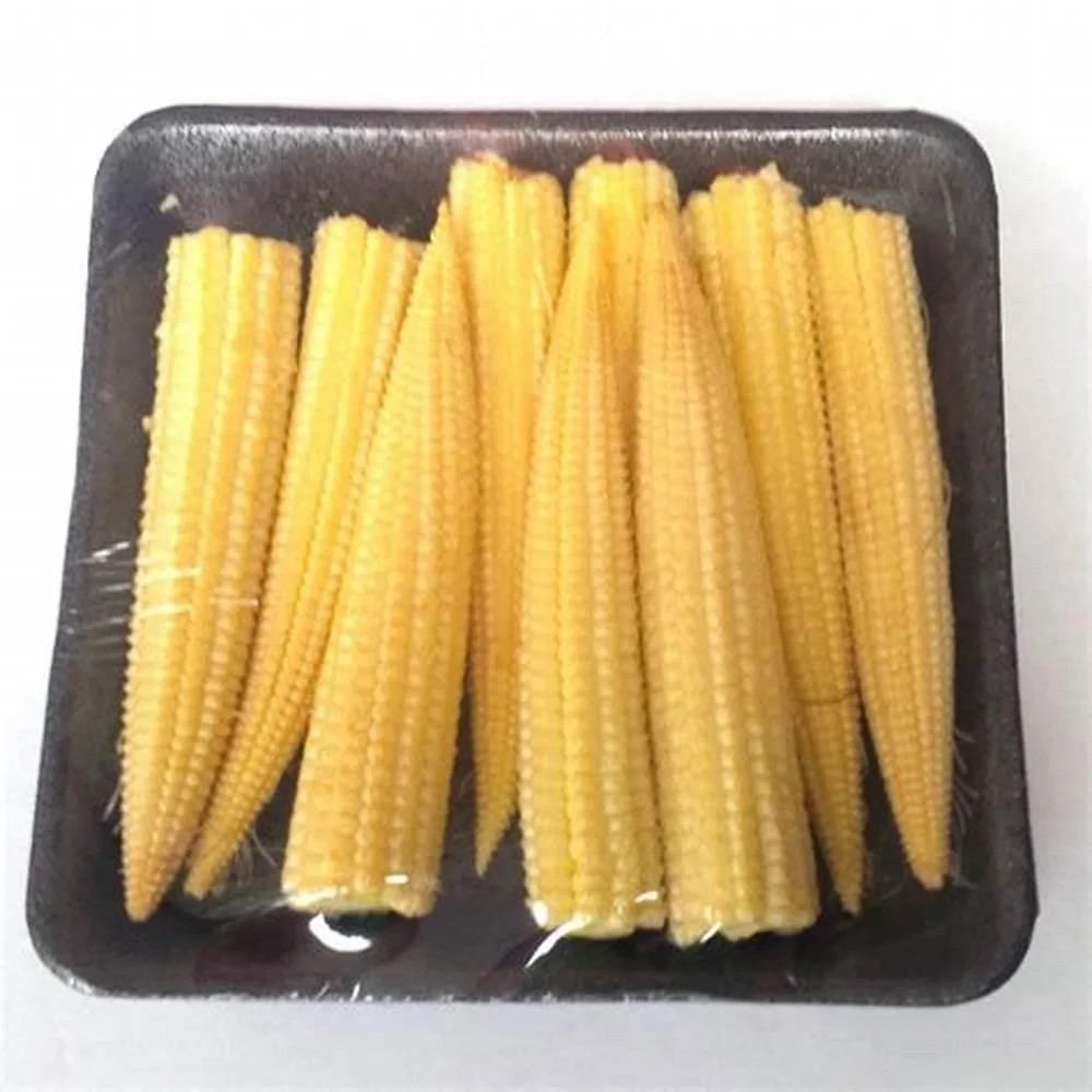 Whole frozen sweet corn on the cob duty free Best price ready to ship from Vietnam