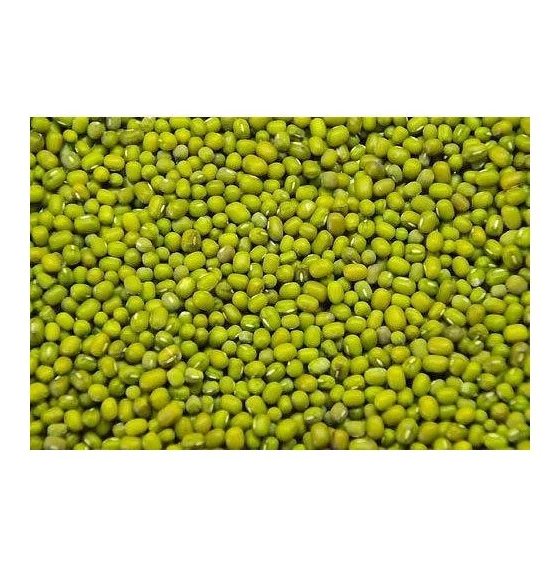wholesale high quality moong dal 3.8mm big size vigna beans mung dal Sprouting Green mung beans