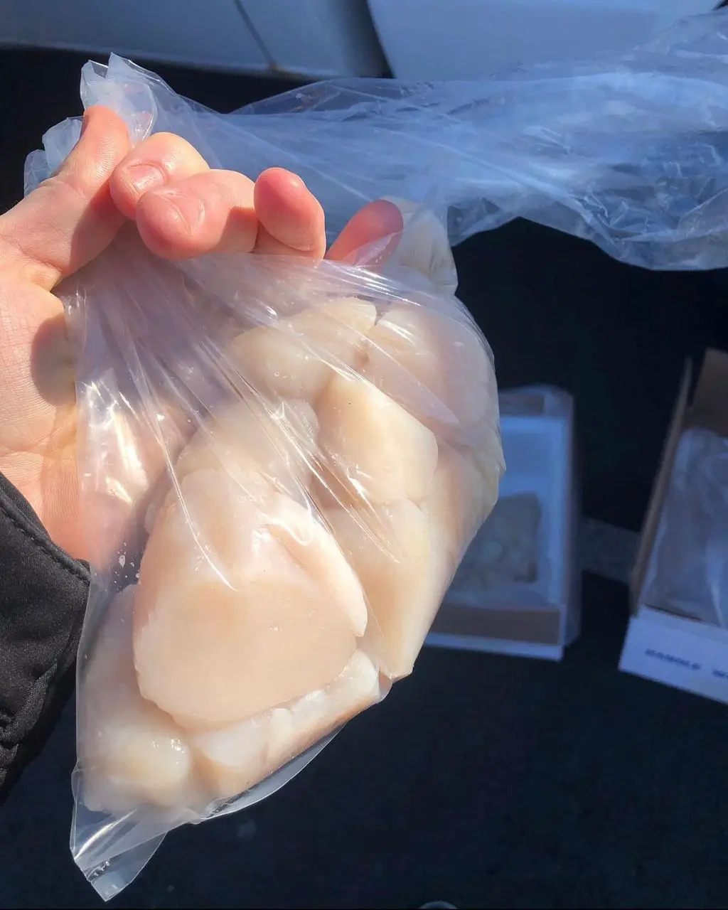 Affordable Popular shellfish export manufacturers frozen Japanese sea scallop