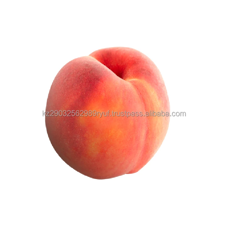 Peach great summer fruit with excellent taste characteristics, very juicy and good thirst quencher