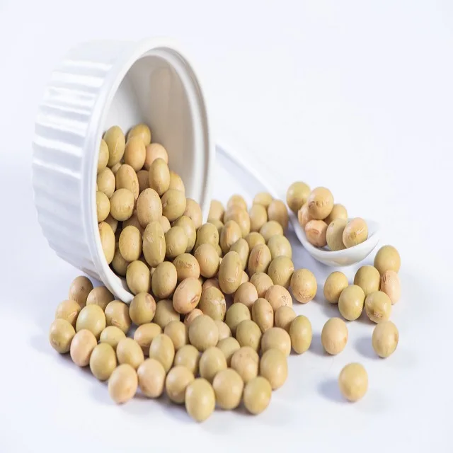 Factory Wholesale Organic Soybeans Non Gmo Soy Top Grade Yellow Soybeans