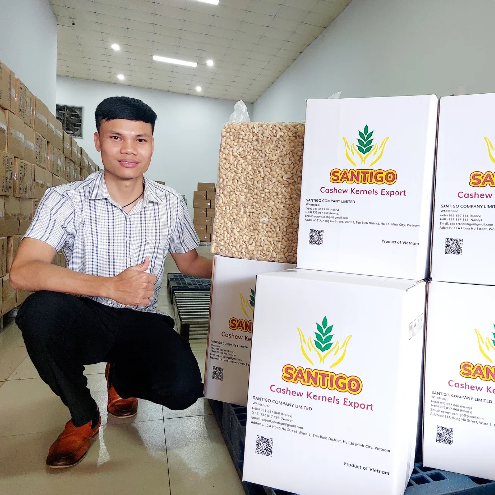 Trusted Supplier Cashew Nuts Cashew Nuts W320 W210 From Santigo Vietnam SK, LP2, LWP