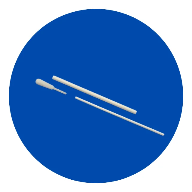 Disposable Medical Specimen Collection Nylon Flocked Sterile Fecal Swab For Sampling