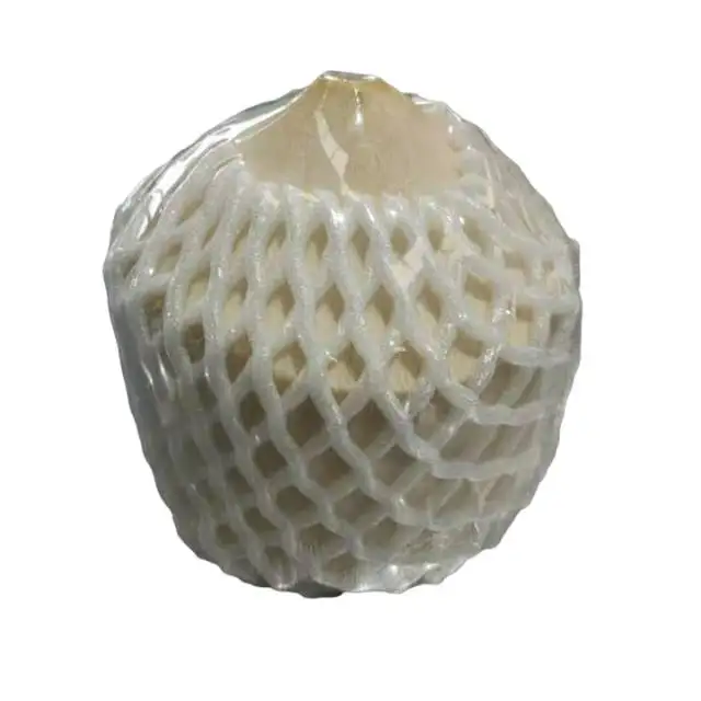 Top Quality Young Fresh Coconut Export From Thailand