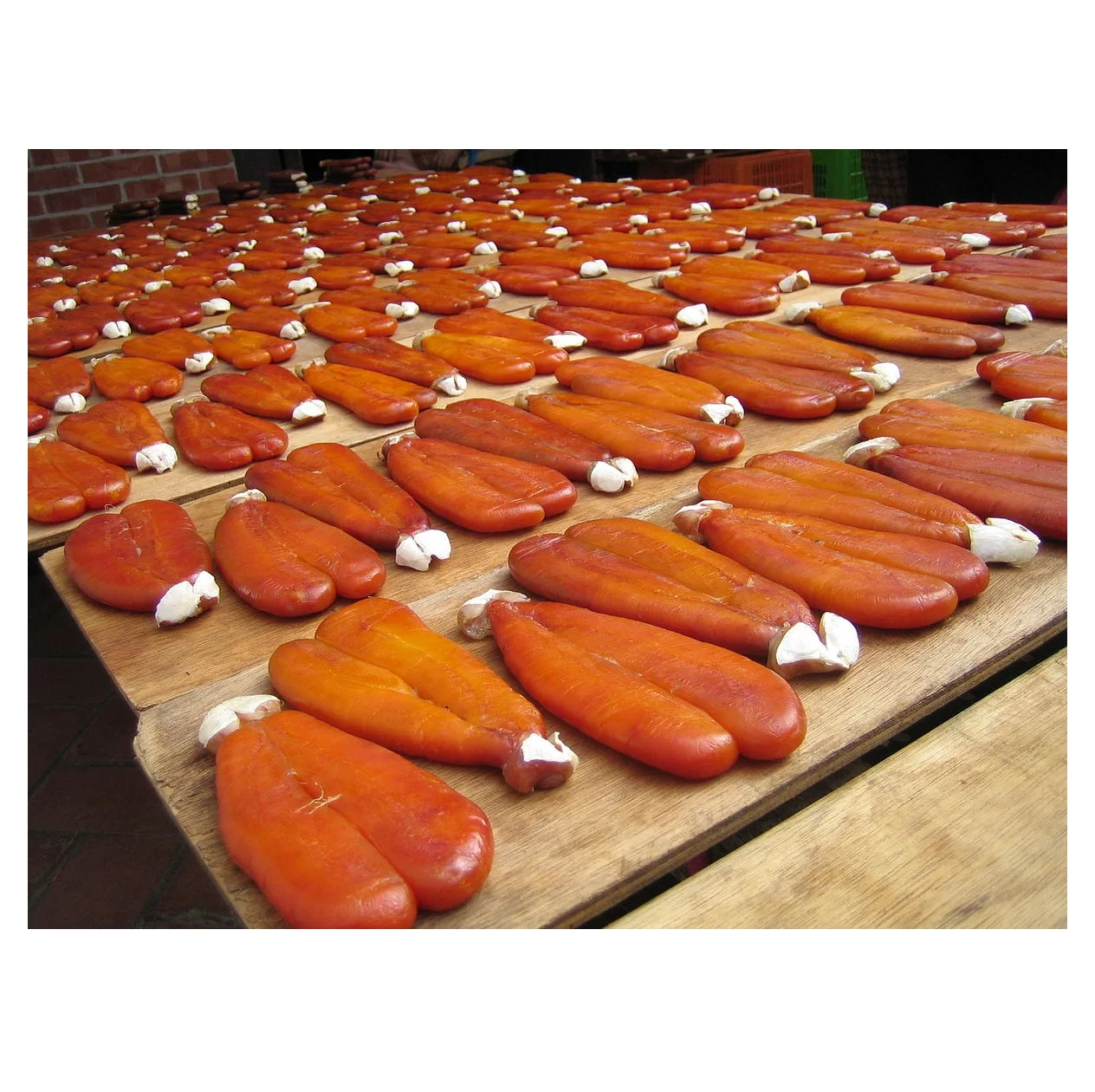 Hot Selling Price Of Dried Mullet Roe (Seafood) For Delivery