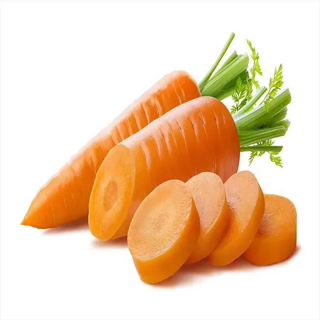 Cheap Vegetables Fresh Carrots Seed For Wholesale Export