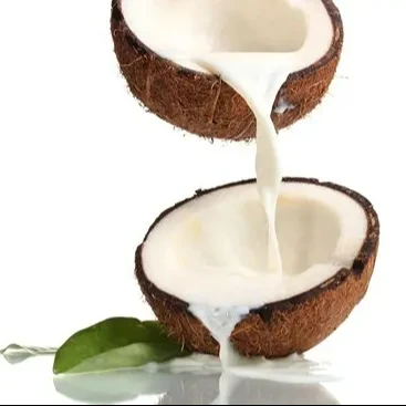 Премиум консервированное кокосовое молоко // органическое