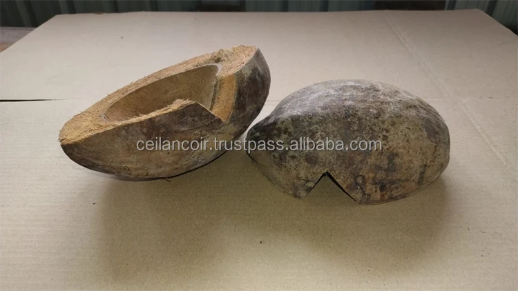 Coco Shell Hides with Husk Sustainable and pet friendly made for reptiles and small animals
