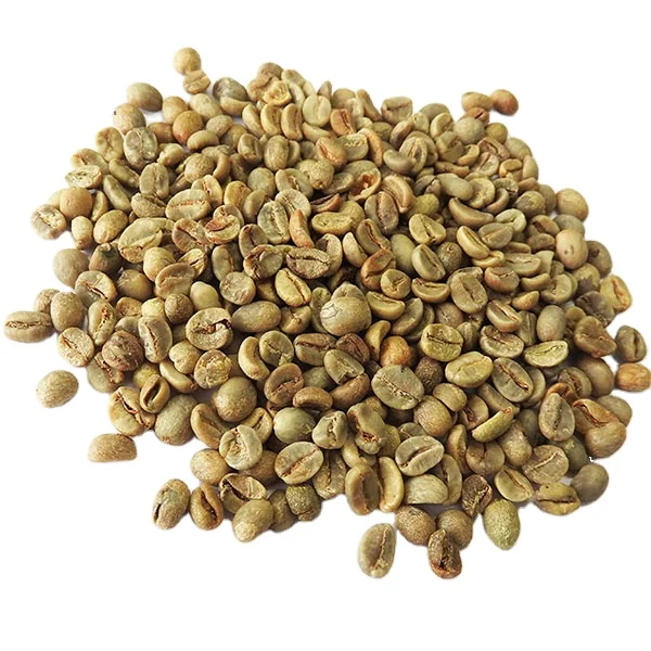 [free sample] vietnam green coffee beans arabica coffee bean vietnam roasted coffee beans fast shipping whatsapp +84 326055616