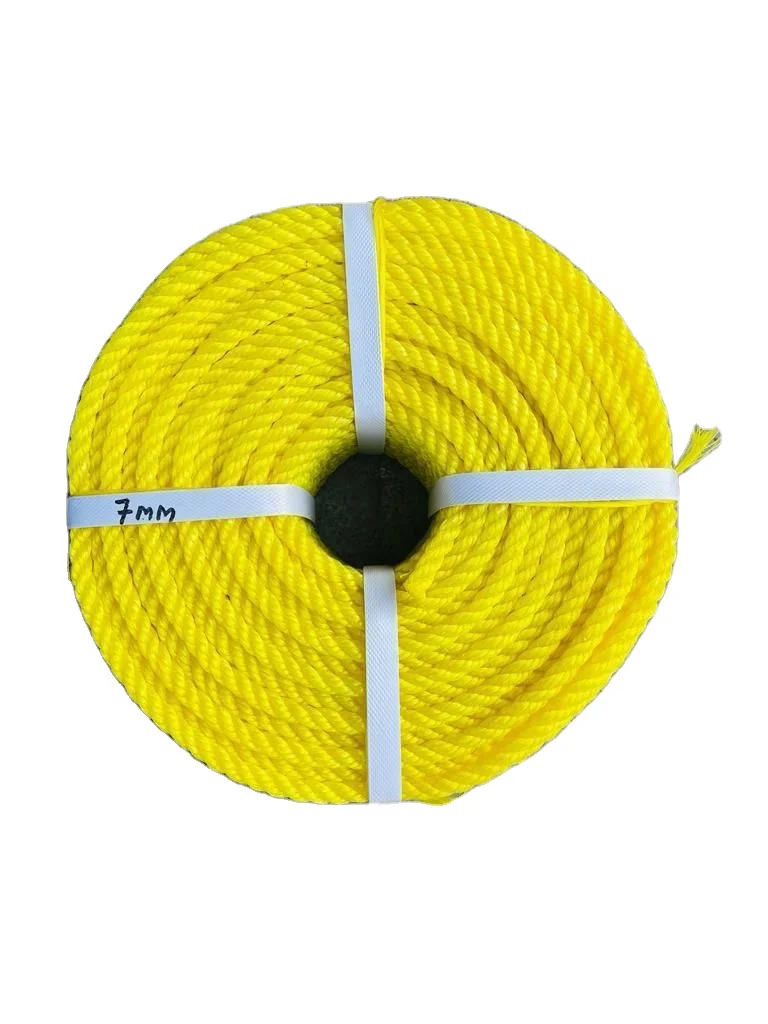 Multi Colored Polyester Cord polypropylene rope 2mm 3mm 4mm Macrame Braided Cords Flat Nylon Parachute Cord