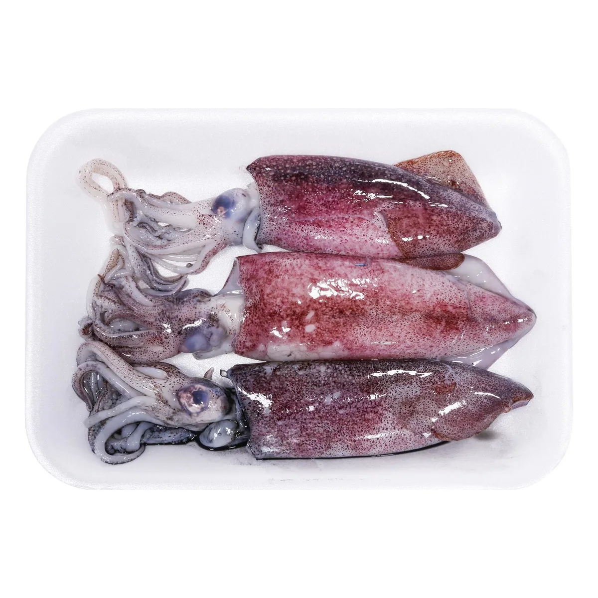 High Quality Fresh Frozen Illex Squid(Todarodes Pacificus) at Whole Sales Price