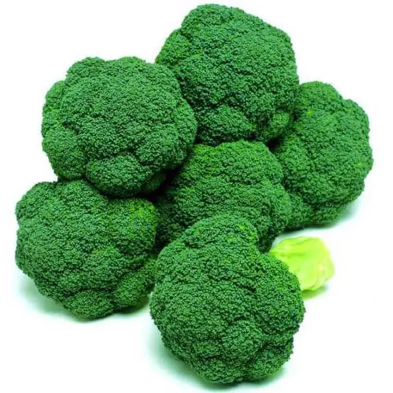 Direct Factory Wholesale Cheap Price Fresh Place Model Maturity Cultivation Broccoli Frozen Vegetable Broccoli From Bangladesh
