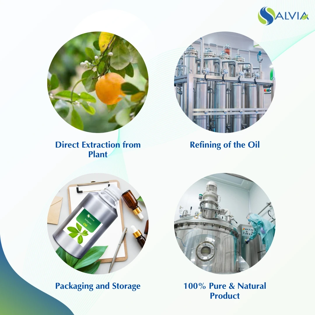 100% масла Petitgrain чистая и натуральная оптовая продажа упаковка по самой низкой цене