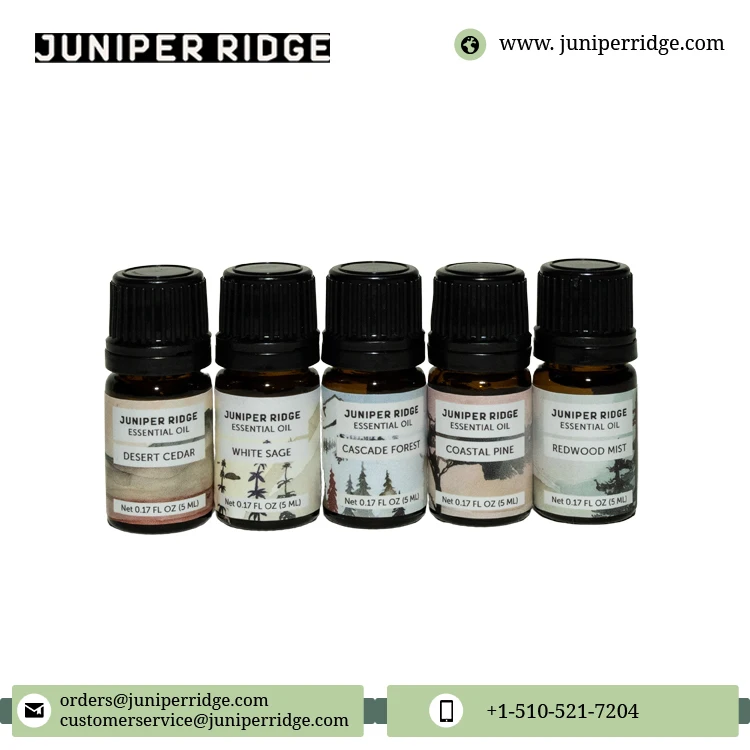 Exporting High Quality Organic and Natural Aromatherapy White Sage Essential Oil - 5 ml for Wholesale Purchase