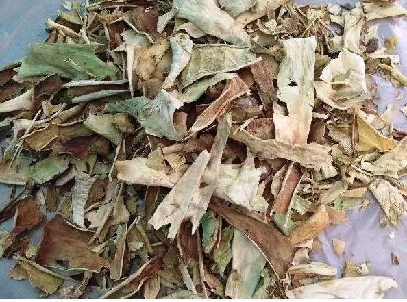 Top Quality Aloe Vera Dried Leaves Used for Skin Nourishment and Hair Scalp Treatment Manufacturers from India with Best Price