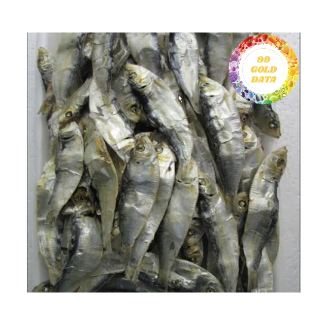 The best selling 100% Dried Herring - Vietnam Natural Seafood with the best price and top quality