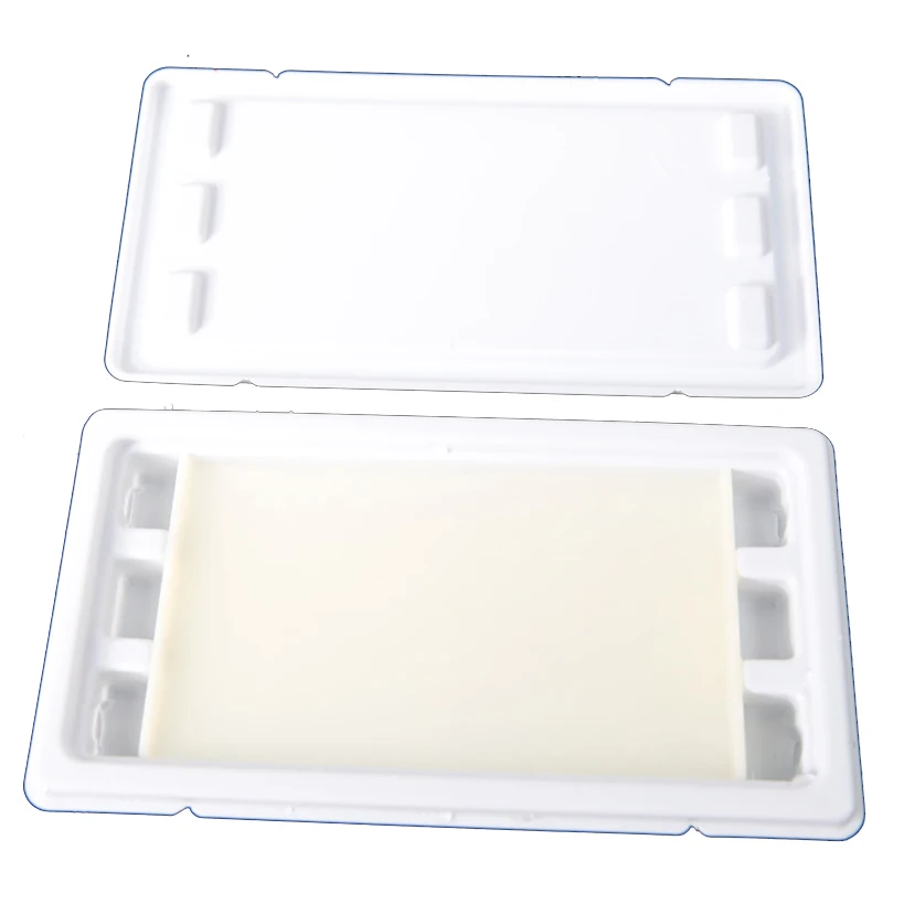 Gelzeit Pre-Cast Agarose Gel To Check DNA And PCR Results Through Electrophoresis