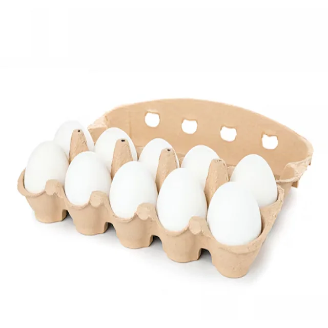 Fresh Farm Chicken Eggs White and Brown Eggs Best Price Fast Shipping In Stock For Sale
