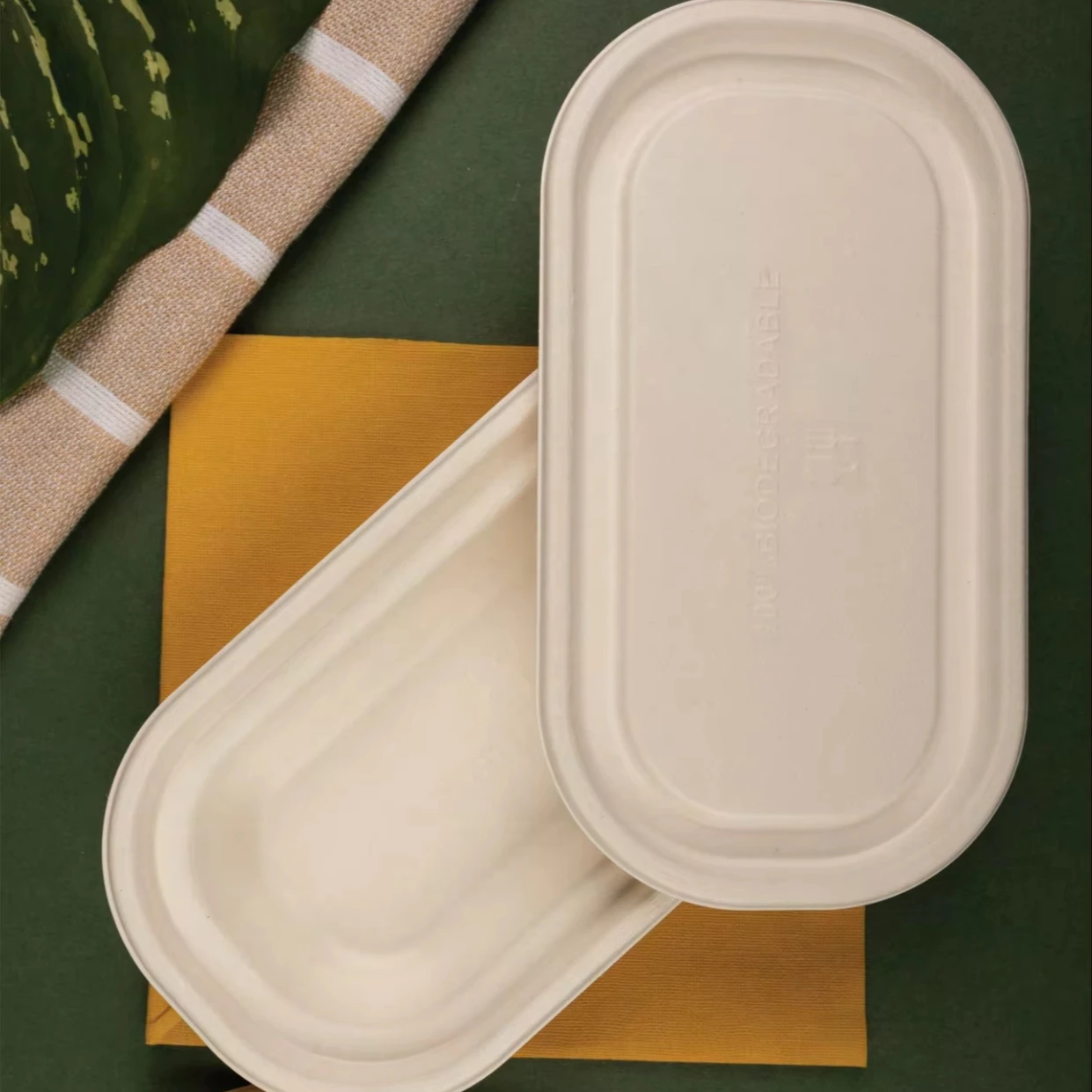 100% Natural Biodegradable Compostable Sugarcane Bagasse Disposable Round Container with Lid Food Use Wedding
