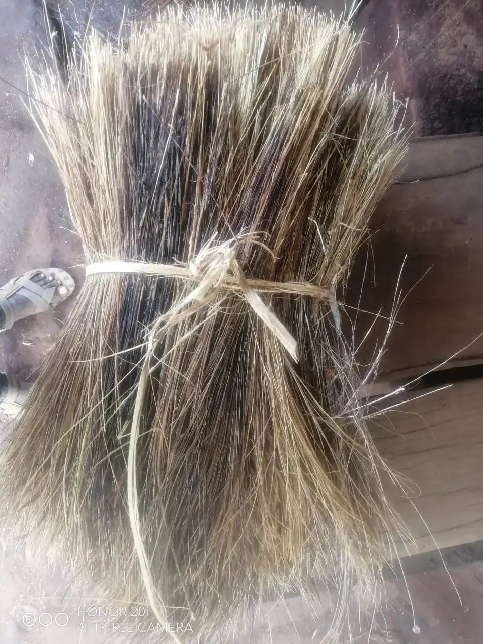 custom made natural palm fibers obtained from palm tree ideal for use in educational and research applications