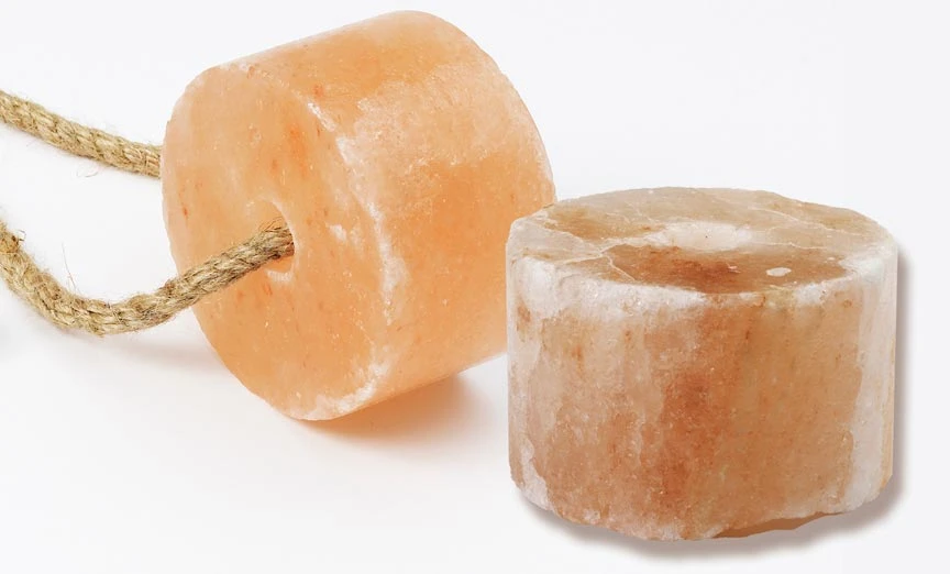 Salt New 2023-24  Animals such as deer sheep goats cattle and elephants make regular visits to the salt resources in nature