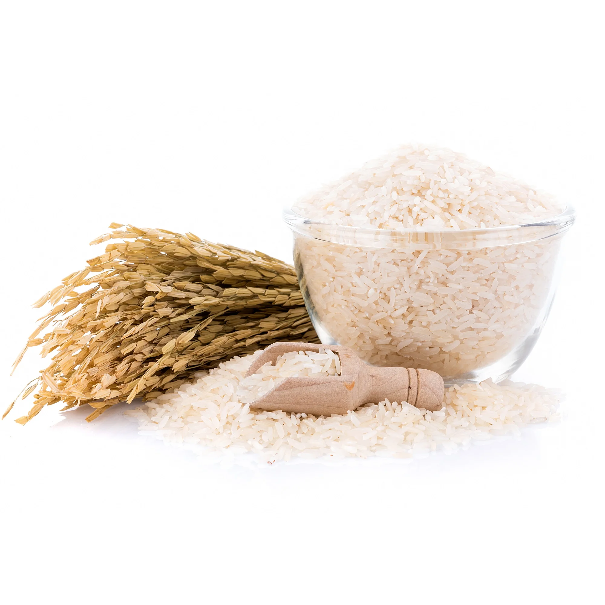 Top Selling Greatest Quality Natural Grain Non Basmati Rice New Corp Jasmine White Rice / Ponnie Rice Manufacturer