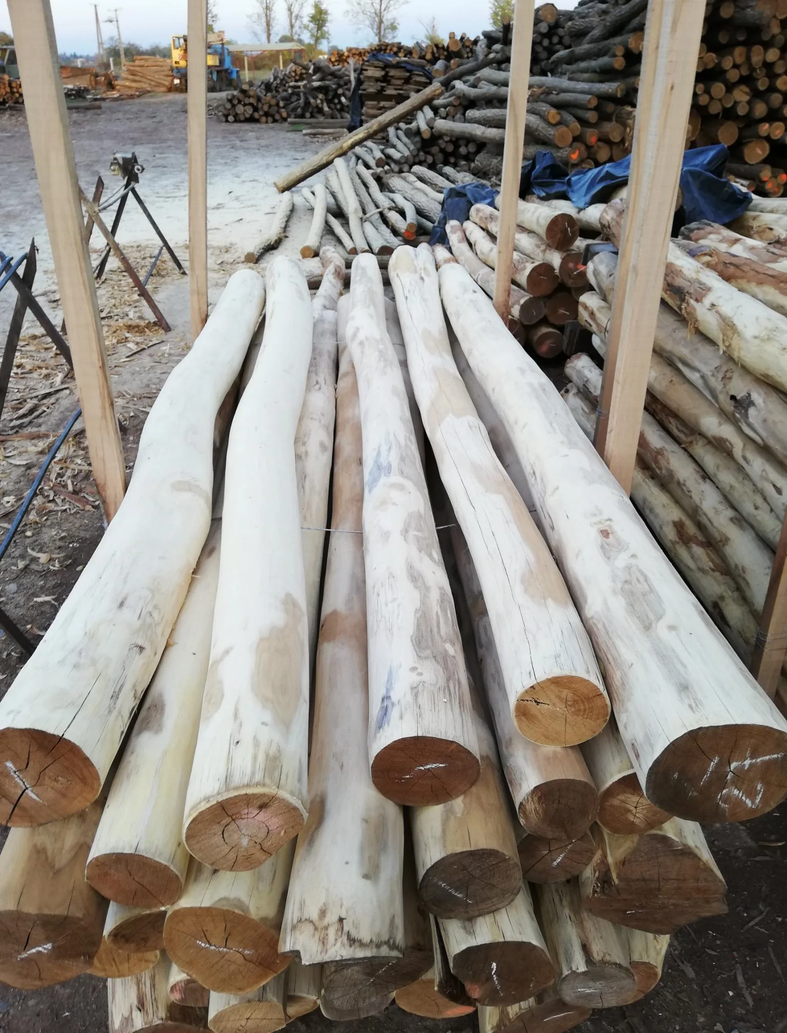 Wholesale Acacia Wood Pole and Products European Design Style Timber Lumber for Furniture Pine Birch Poplar Materials