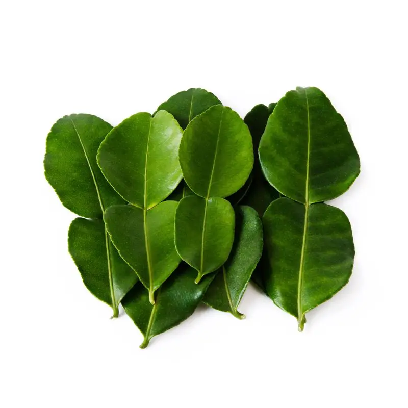 Thai Lemon leaves  From Thailand (Premium quality, Export grade, Good smell, Green, Best selling)