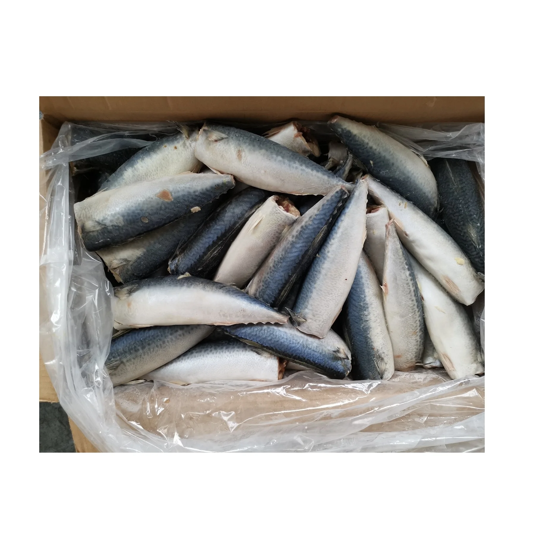 Organic IQF Pacific Seafood Frozen Mackerel Fish Whole Horse Mackerel Bulk Packaging Water Preservation