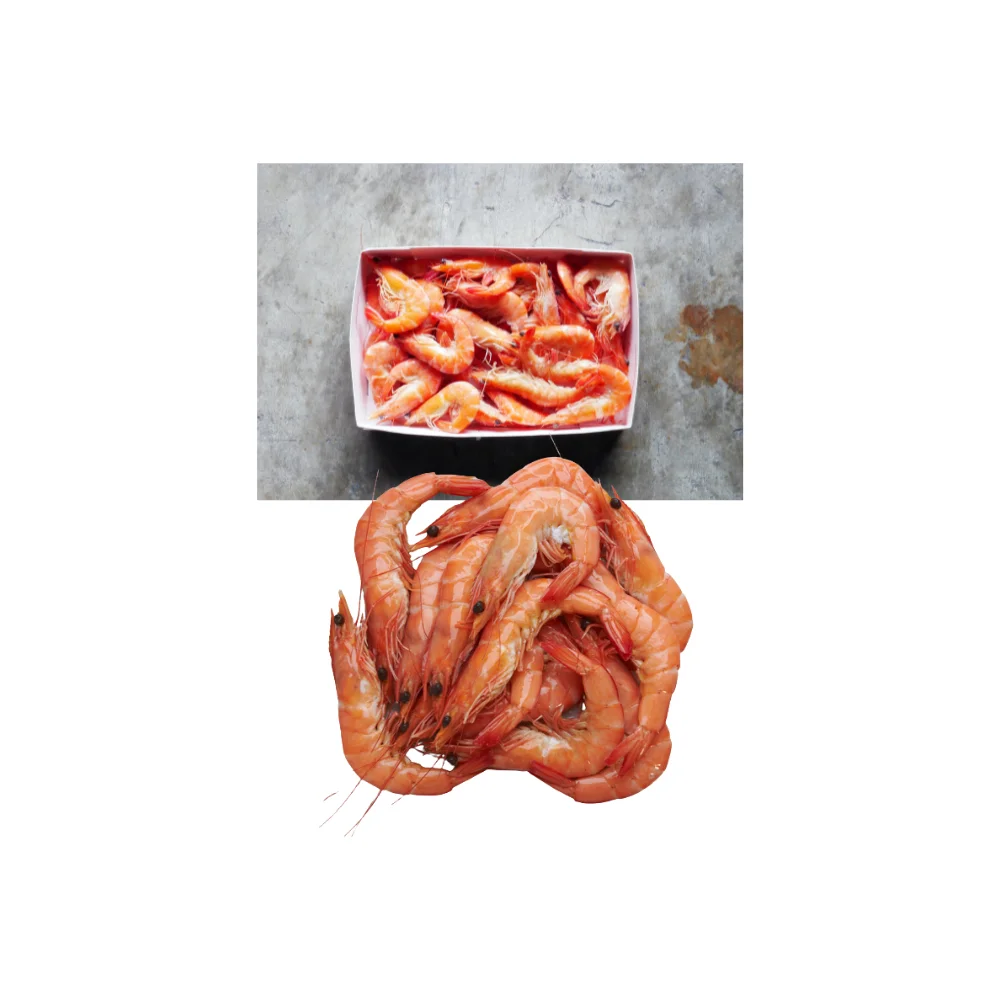 Nature Fresh Cooked Style Net Catch (26-30 pcs/kg) IQF Box Pack 1 kg/box Frozen Cooked Vannamei HOSO Red Shrimp
