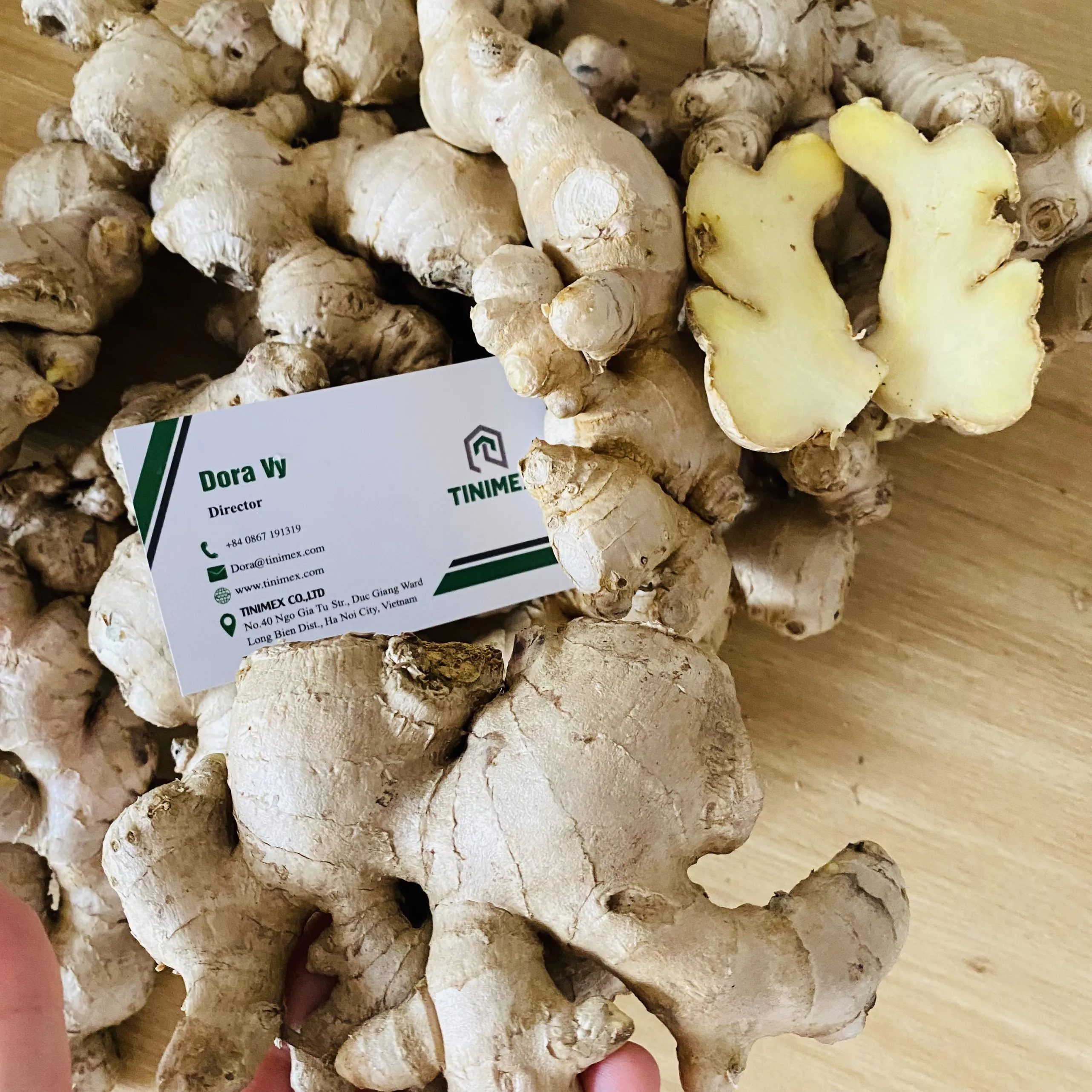 Wholesale 100% FRESH ORGANIC GINGER well-washed exported from Vietnam in Carton (WhatsApp: +84 98 858 1390)