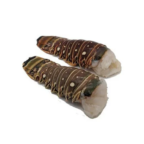 Live Canadian Lobsters and Frozen Green Lobster Tail for sale.