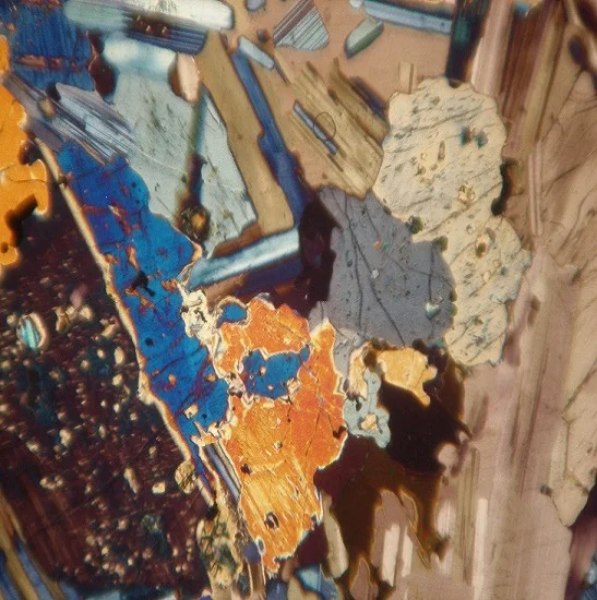 Bestscope BS-5062B Transmitted Illumination Professional Polarizing Microscope for Geological and Petroleum Instruments