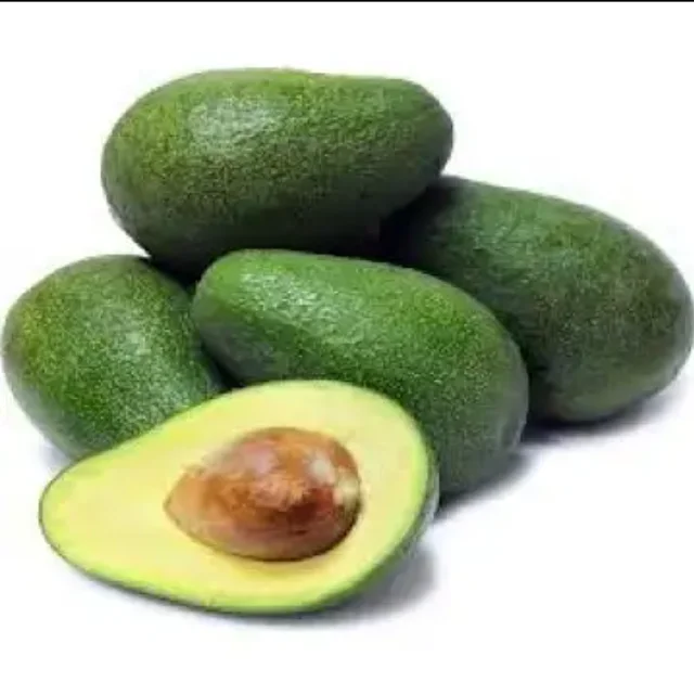 Trusted professional partner Fresh Avocado For Export With The Best Price Standard High avocado fresh avocados