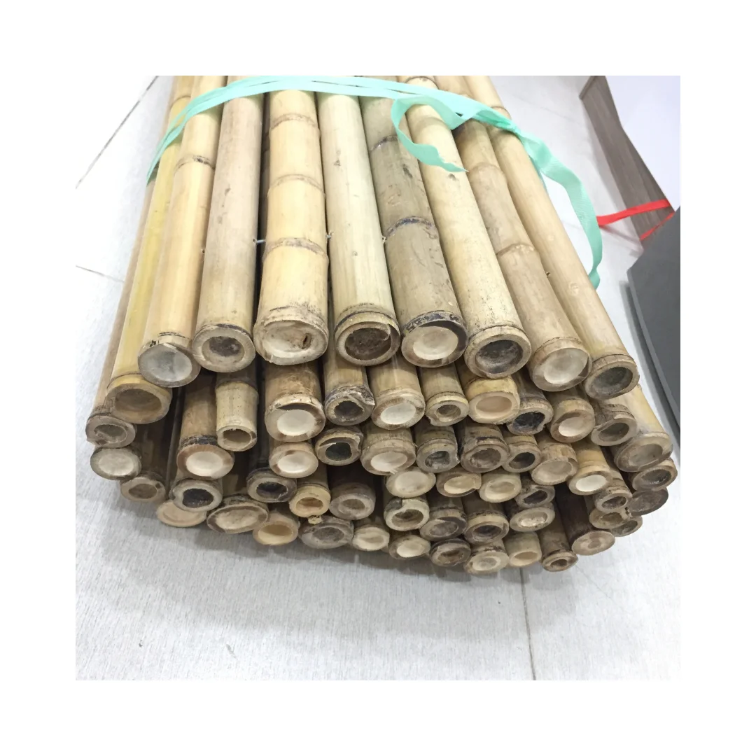 Sustainable and Stylish Bamboo Fences Perfect for Adding Privacy and a Natural Touch to Your Landscape