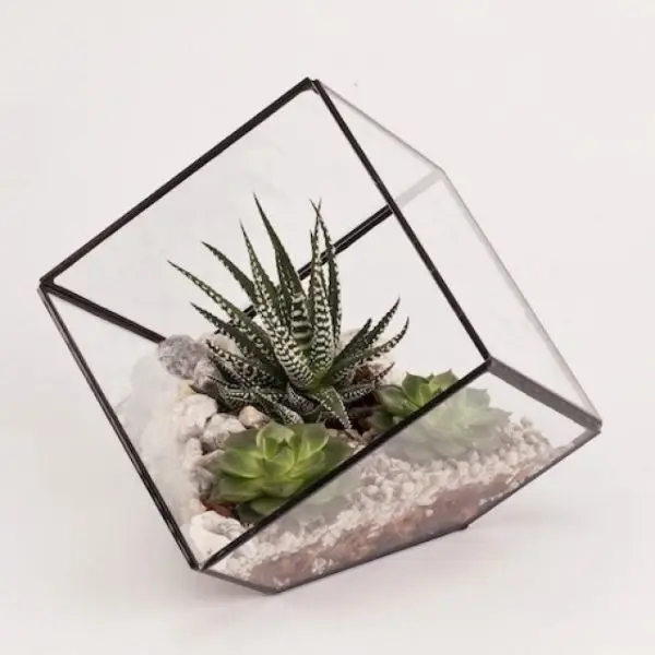 Industrial Design Simple Square Glass Vase Hydroponic Indoor Succulent Green Plant Pot Home Use Planting Basin