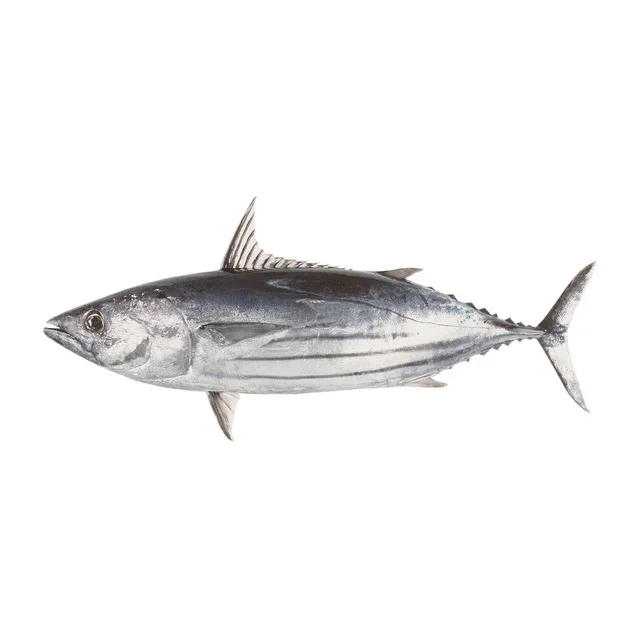 Лучшая цена замороженная цельная рыба-тунец оптом в наличии с индивидуальной упаковкой