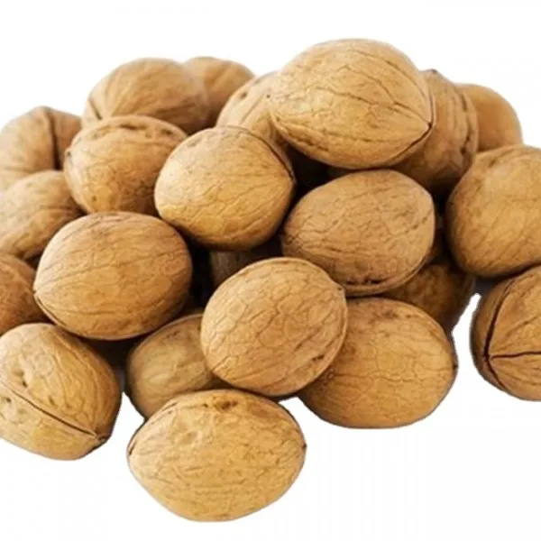 Special discount ceviz top quality in shell walnuts for sale walnut dry fruit