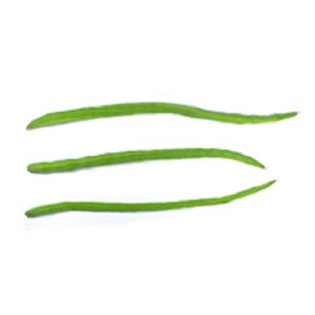 Fresh Green Drumstick Vegetable for export, Edible Fresh Drumstick Vegetable wholesale supply UK