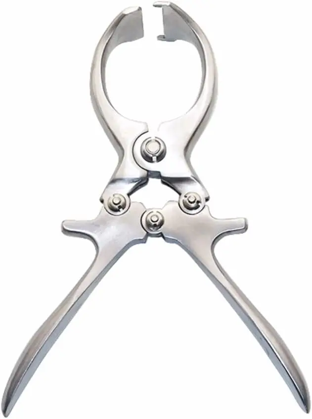 Castration Pliers, Livestock Tools, Stainless Steel Pig Sheep Castration Clamp Castration Tool Castration Forceps